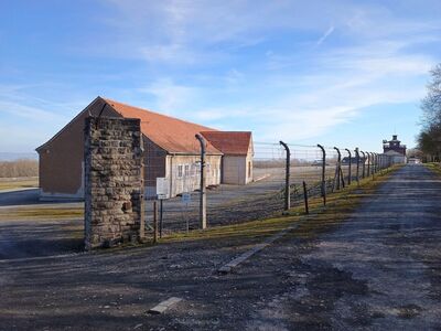 Projektkurs Buchenwald
